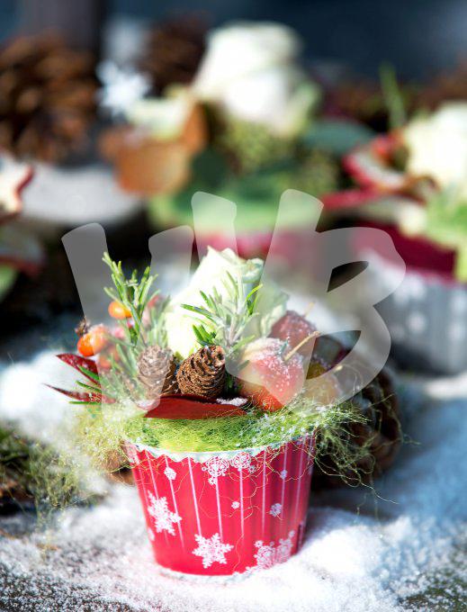 bloemen en planten vvbvanbree     1137